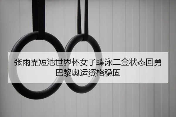 张雨霏短池世界杯女子蝶泳二金状态回勇巴黎奥运资格稳固